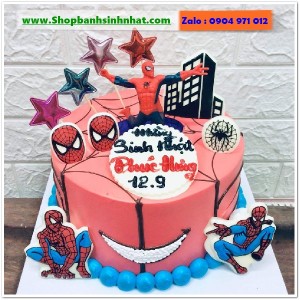 Bánh Sinh Nhật Siêu Nhân - US214